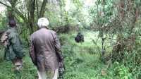 3 -Day Gorilla Trekking Tour  