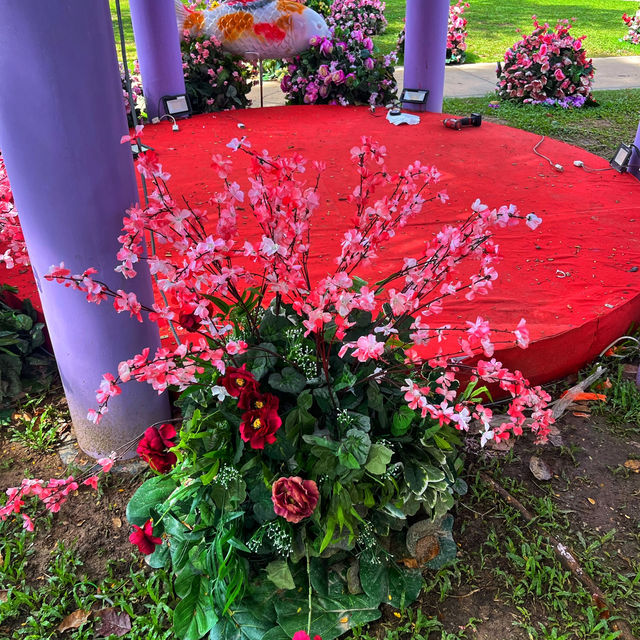 🇲🇾 Bloom with Beauty: Discover Flower Blossoms at Armenian Park
