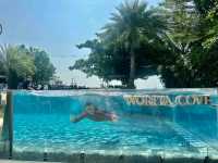 รีวิว Worita cove hotel  พัทยา