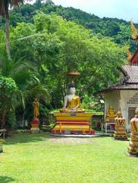 📍สูดโอโซนท่ามกลางธรรมชาติที่วัดนาคูหา แพร่