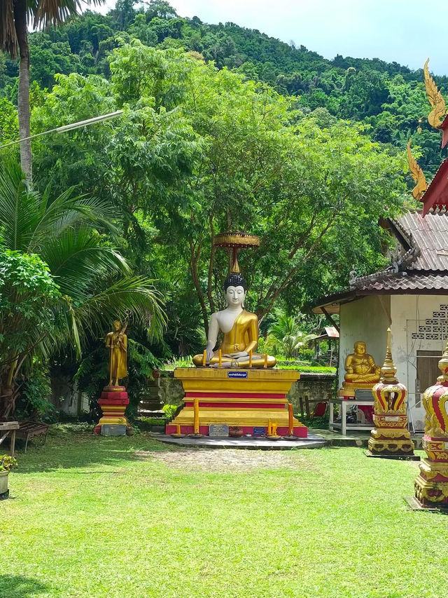 📍สูดโอโซนท่ามกลางธรรมชาติที่วัดนาคูหา แพร่