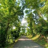 ป่าในเมือง ณ เขากระโดง บุรีรัมย์