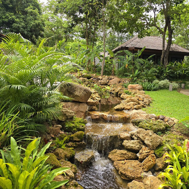 🌳Phapok Eco Resort
