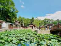 Summer Palace 