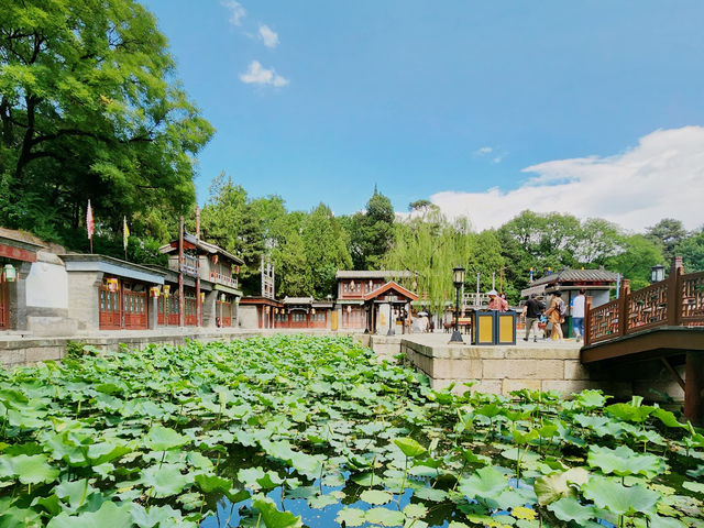 Summer Palace 