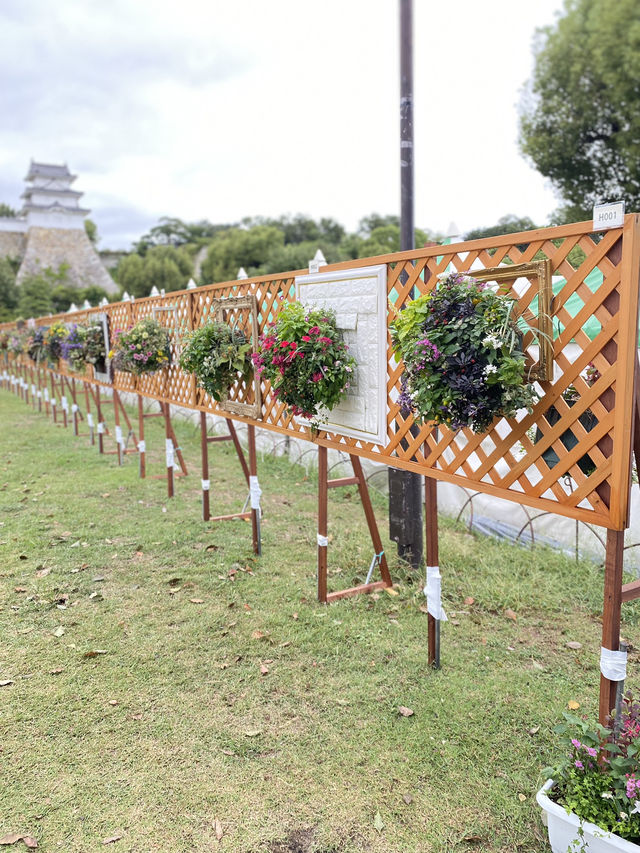 【明石】イベント開催中の明石公園