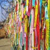 🇰🇷 The DMZ: A Journey to the Edge of History