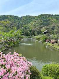 Kikko Park 