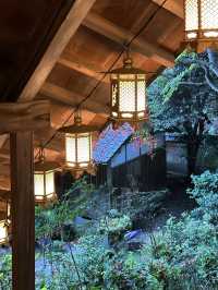 【京都紅葉】とても綺麗な花手水がたくさんあるお寺！