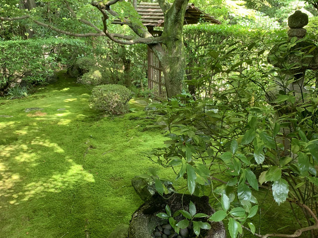 大本山妙心寺