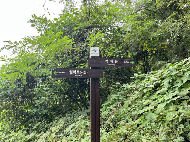 충주 대표 관광지 악어봉 정식 개장 첫주 오픈런 🔥
