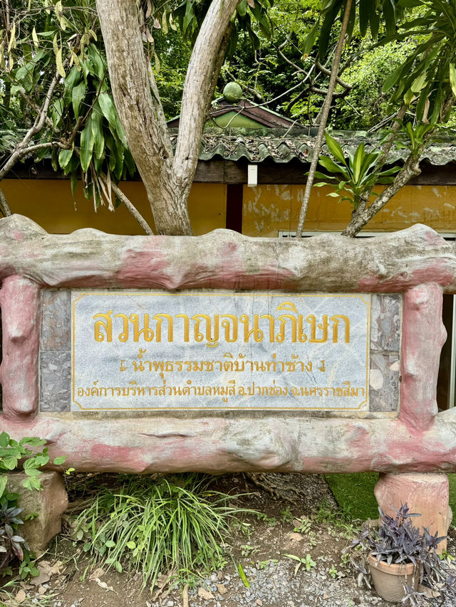 น้ำพุธรรมชาติบ้านท่าช้าง เขาใหญ่🌳