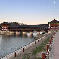 🇰🇷慶洲✈️ 古色古香的「月精橋월정교」