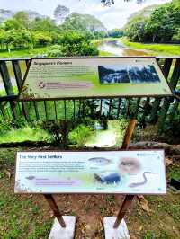 Relaxing Walk at Springleaf Nature Park