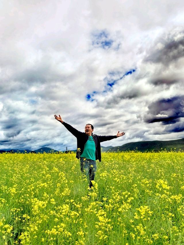 Living in My Dream of Canola Flower Field in Shangri-La