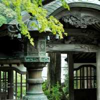 法雲禪寺：日式靜謐 🍃🧘‍♂️