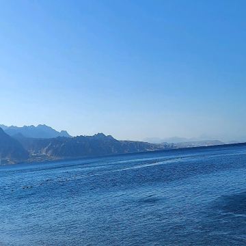 it a popular destination for diving tourism, with activities such as snorkeling and scuba diving. The city's shopping centers benefit from its status as a tax-free zone.
we enjoying our time here and so much fun with the delicious food in neve hotel. its perfect for friends vacations get together. 