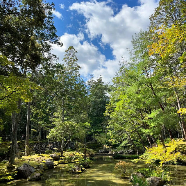麻生不動院：小橋流水中的日式韻味 🌸🏯