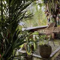 Retreat with nature of paddy fields cafe 