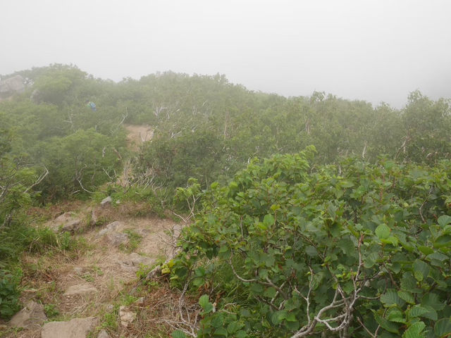 【青森/岩木山】ロープウェイでお手軽登山！