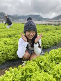Strawberry Farm, Benguet ✨