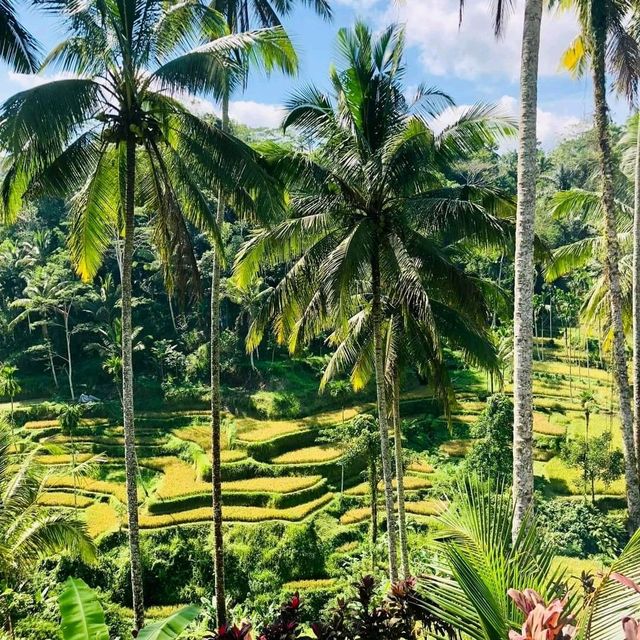 Bali Heaven