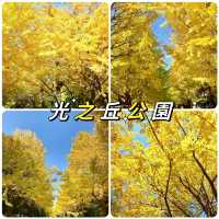 光之丘公園- 欣賞銀杏的隱藏景點 ，200米長的銀杏大道