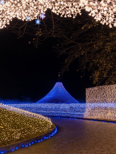 見所満載！なばなの里イルミネーション2024完全攻略 🗻✨今年のテーマ