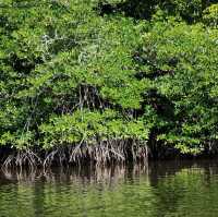 5 Must Know Tips  About Kampung Bambangan