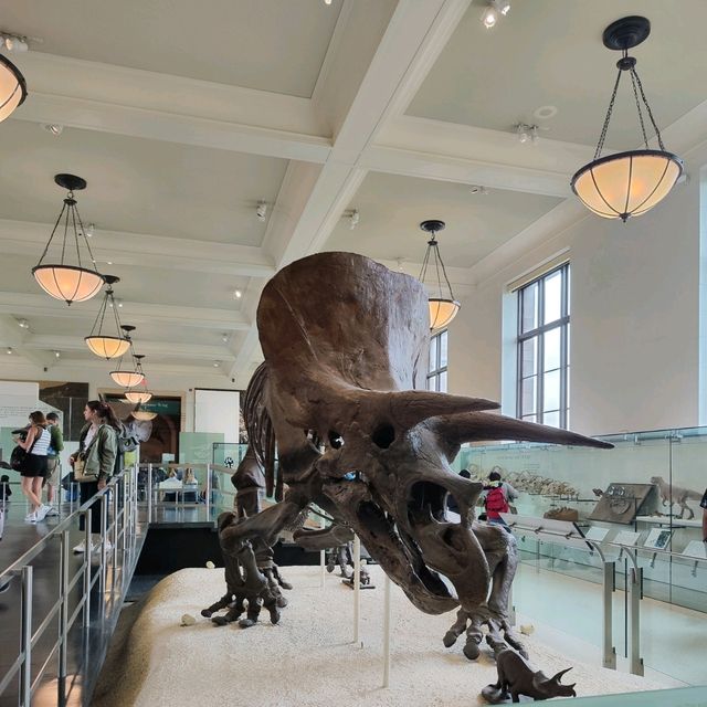 Discovering Wonders at the American Museum of Natural History 🦖✨