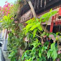 Green Environment Nice place enjoying coffee @The Baboon House 