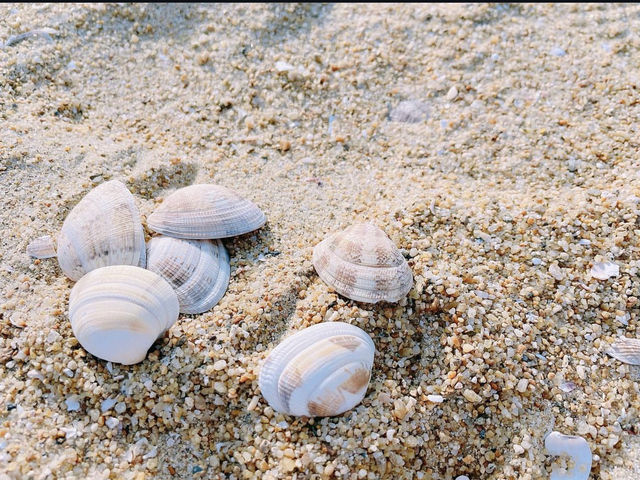 【福岡:無料スポット】シーサイドももち海浜公園🏖️