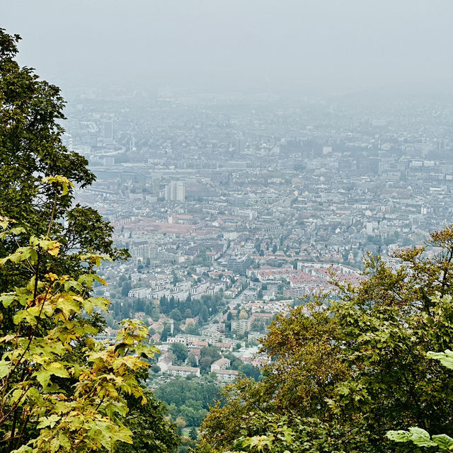Top of Zurich and day trip