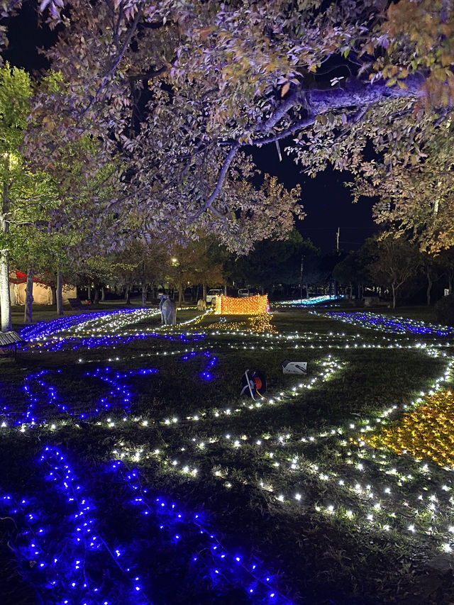 【兵庫県】Night Fantasy Illusion2024ココロニヒカリヲ～ミライへの軌跡～