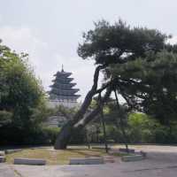 Timeless Beauty and Royal Ceremonies: Exploring Gyeongbokgung Palace!