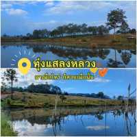 ทุ่งแสลงหลวง มาเมื่อไหร่ ก็สวยเมื่อนั้น