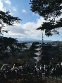 日本🇯🇵 ｜新倉山淺間公園｜眺望富士山風景
