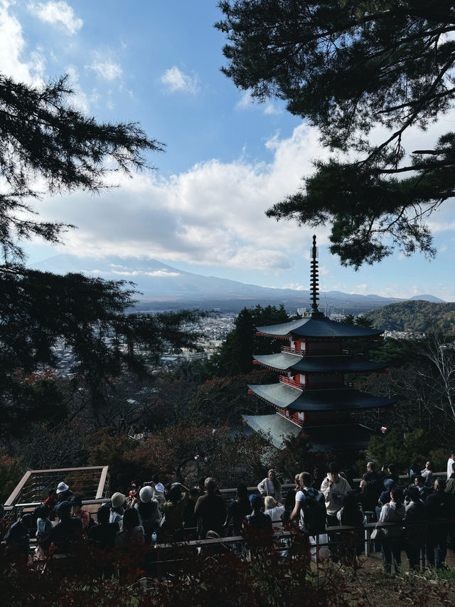 日本🇯🇵 ｜新倉山淺間公園｜眺望富士山風景