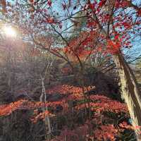 Hantangang River Geopark: A UNESCO Gem in Pocheon 🇰🇷