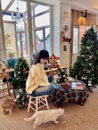 연천, 한적하고 아기자기한 크리스마스 카페🎄