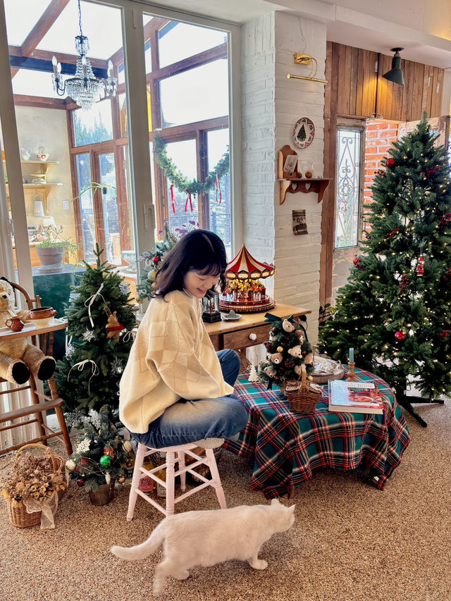 연천, 한적하고 아기자기한 크리스마스 카페🎄