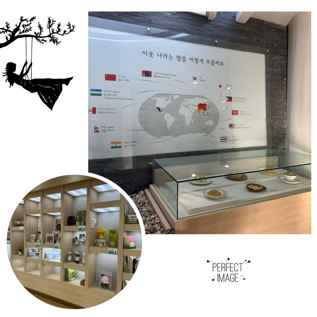 新奇有趣博物館：大米博物館