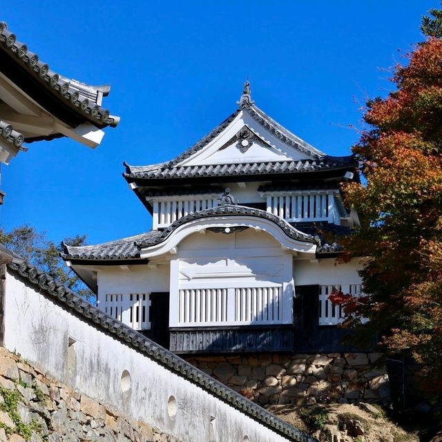 岡山景點｜空中之城．日本唯一山城天守閣—備中松山城（高粱城）