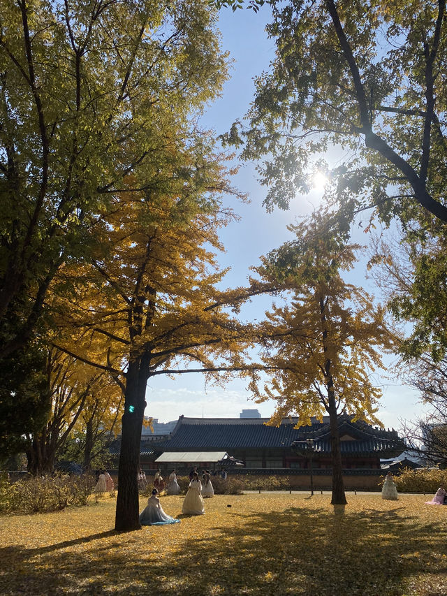  A Timeless Journey at Gyeongbokgung Palace, Seoul