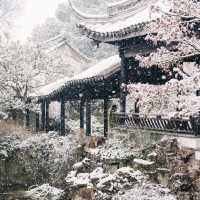 China in Winter: A Season of Stunning Landscapes and Unique Experiences
