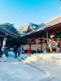 【神奈川県/鎌倉　生命力を感じる”大銀杏”の紅葉が美しい『鶴岡八幡宮』】