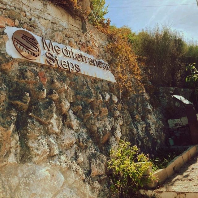 維護良好的登山步道，適合相對身體健壯的郊遊者。