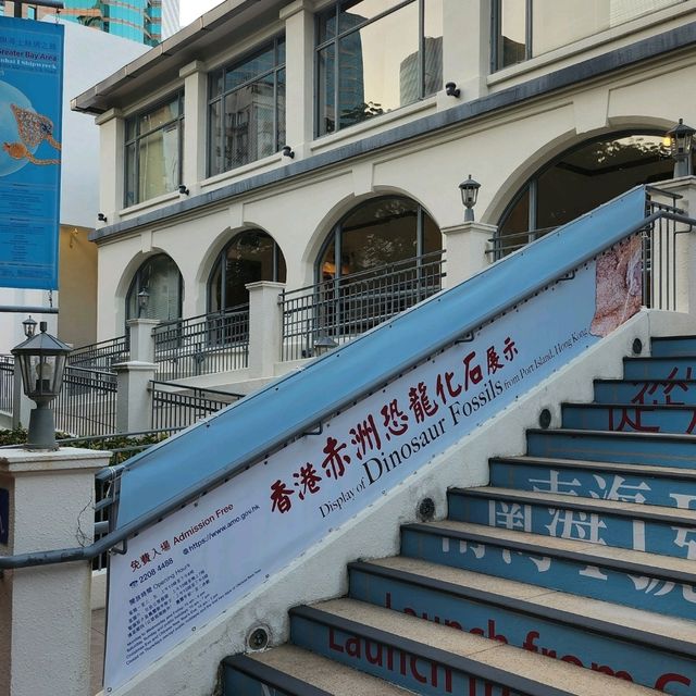 赤洲恐龍化石展覽，重返恐龍時代