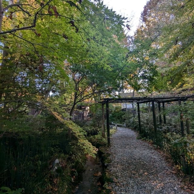 走訪武士的家，角館武家屋敷通：青柳家