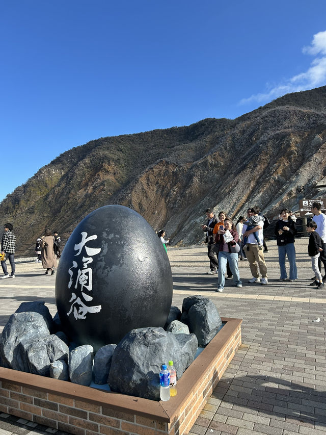 空中散歩で楽しむ絶景・箱根ロープウェイ🚡